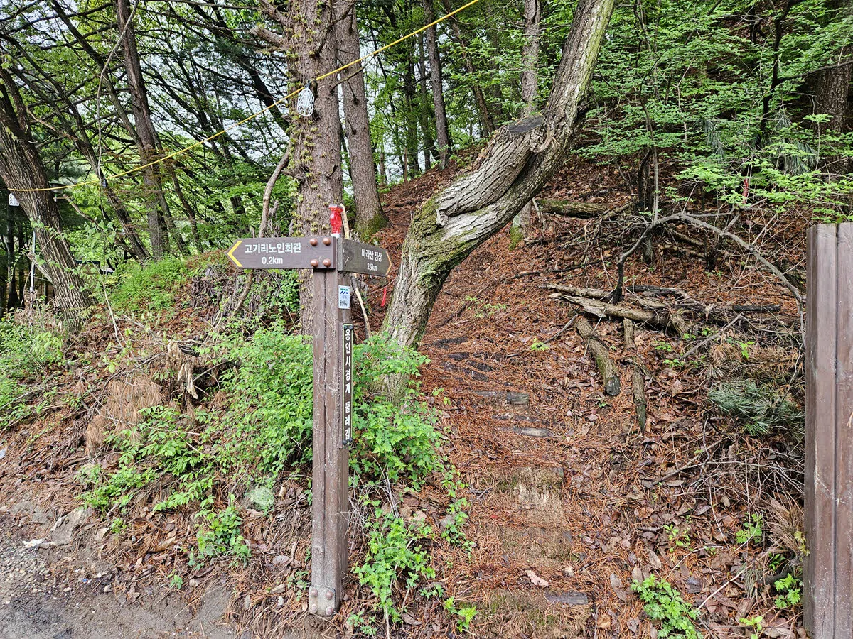바라산 등산로 입구