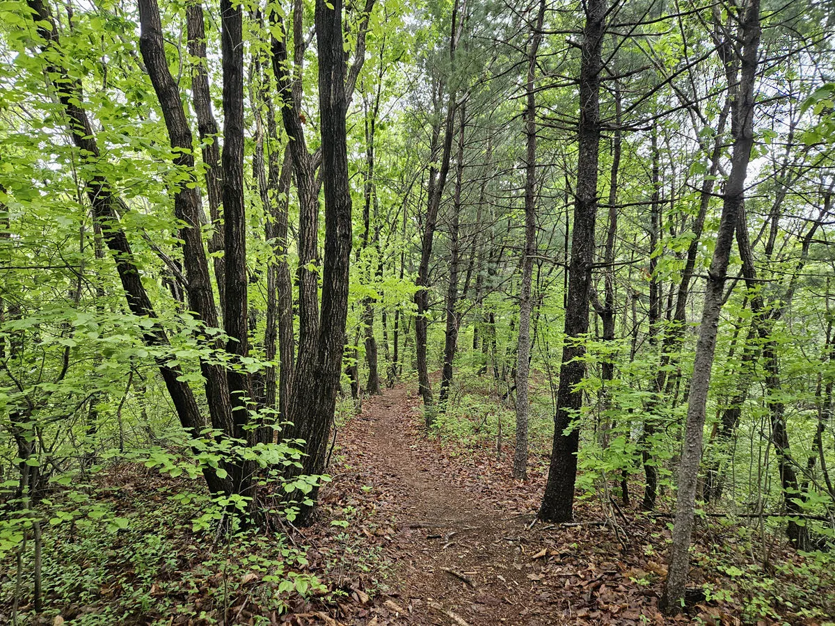 바라산 등산로 초입