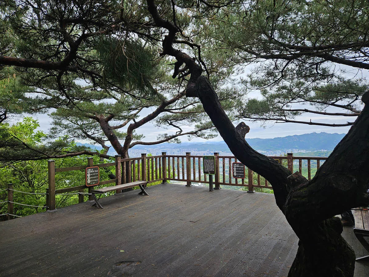 바라산 정상 전망대