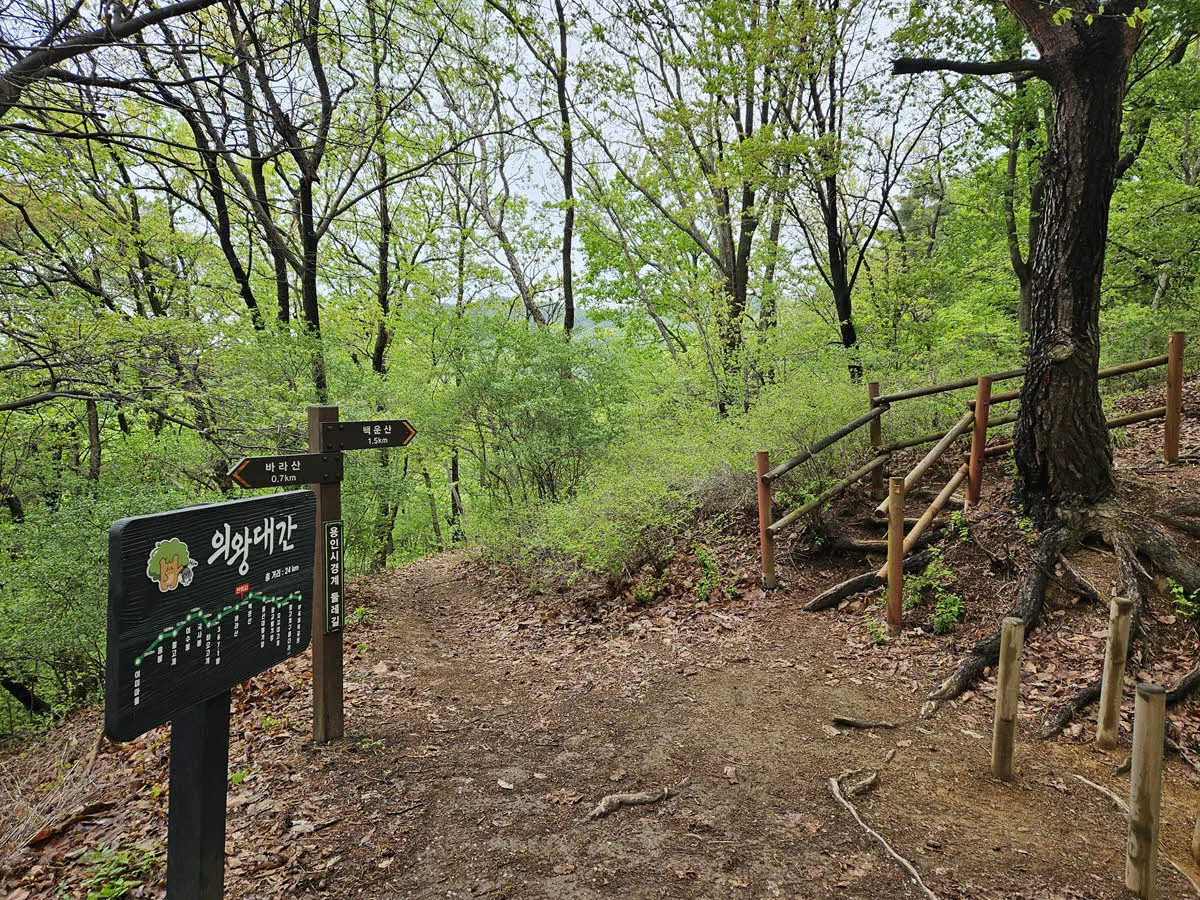 의왕대간을 걷는다.