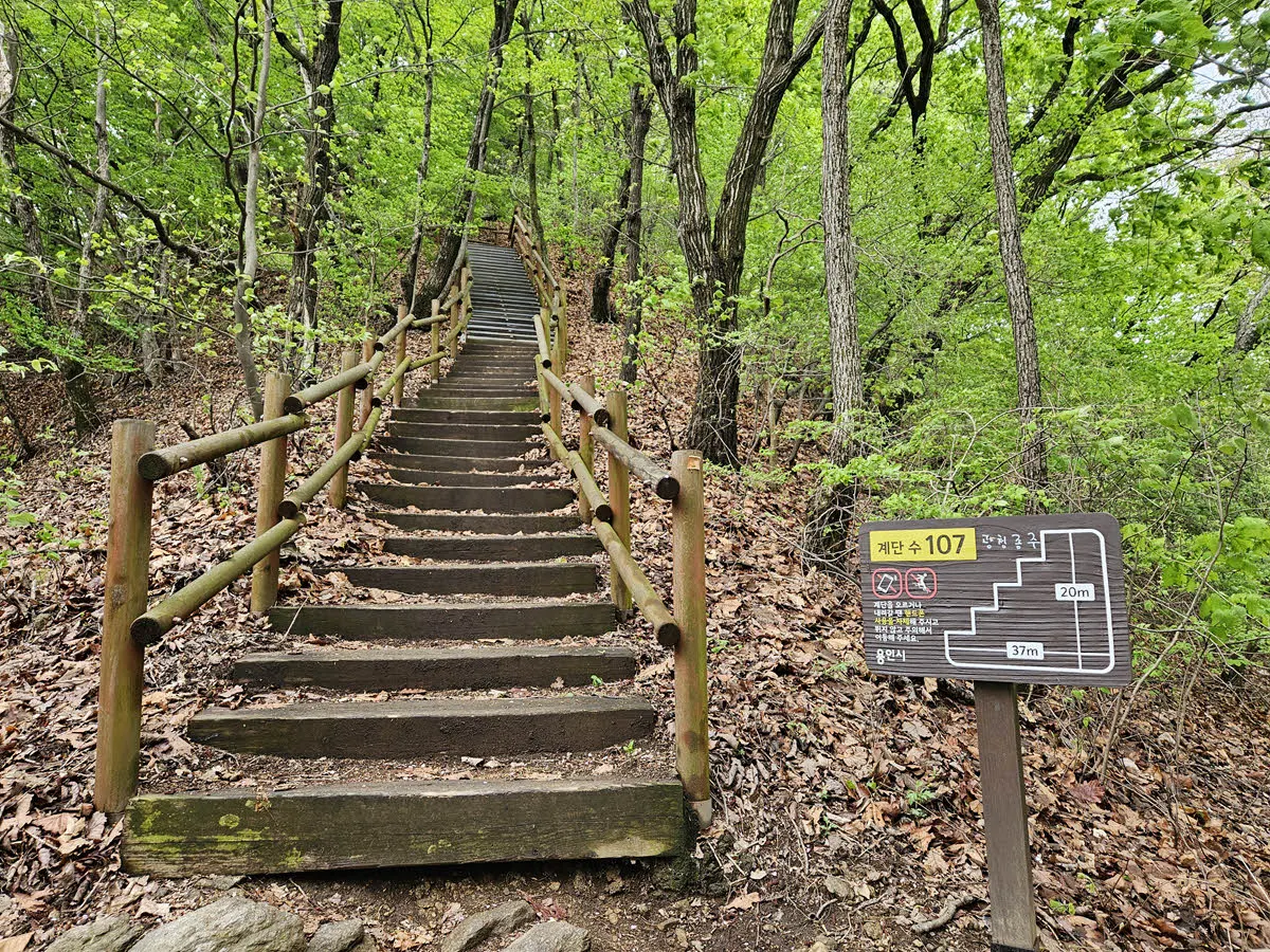 백운산 가는 계단길