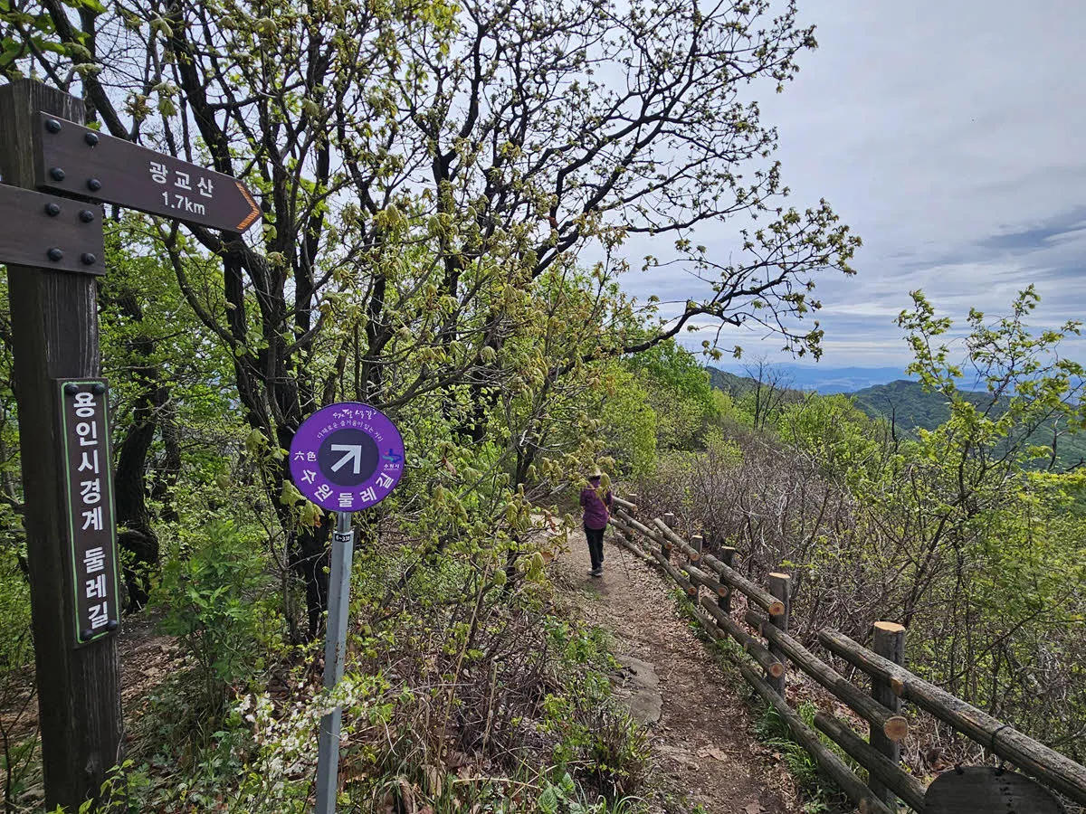 백운산에서 광교산 가는 길