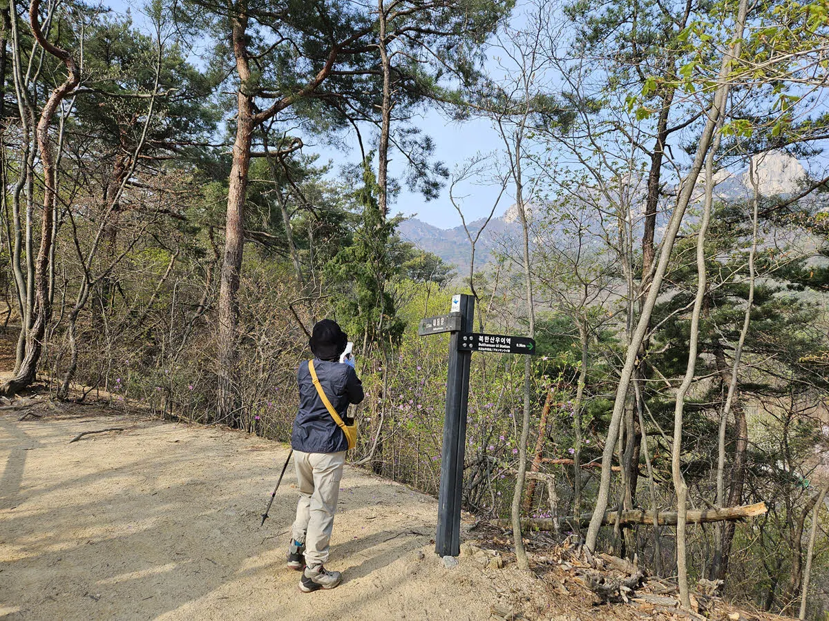 북한산진달래능선 04