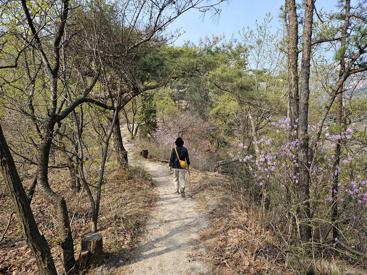 북한산진달래능선 05