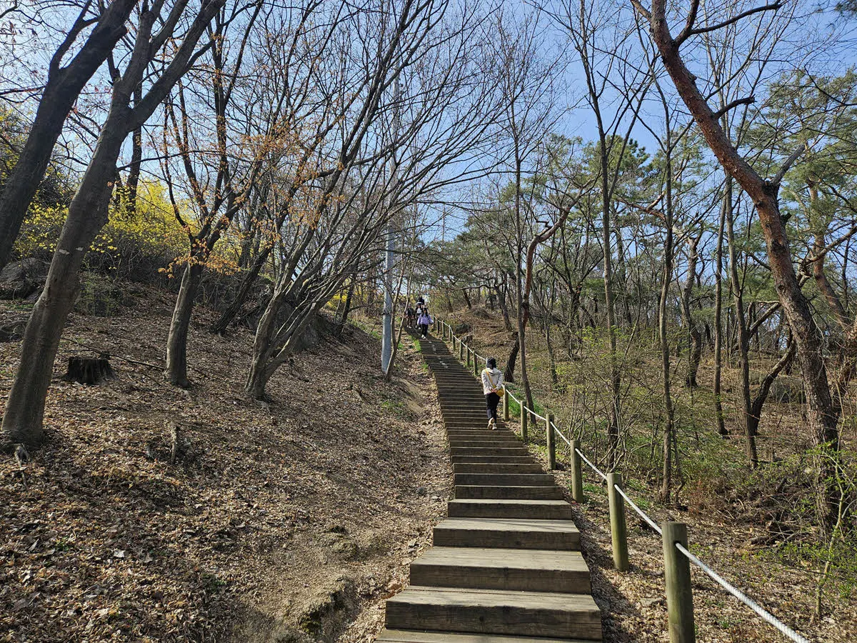 인왕산 등산로 초입(호랑이 동상 방면)