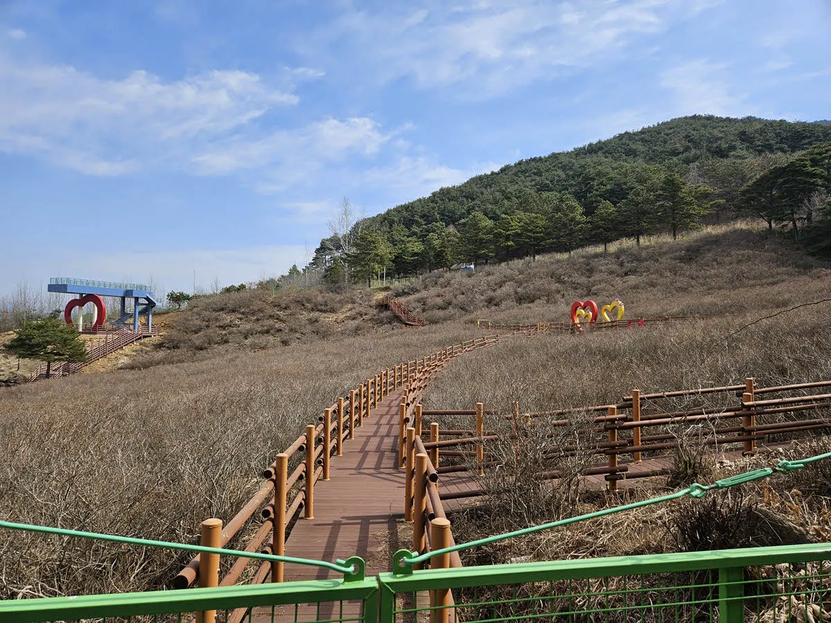 지리산 허브밸리 철쭉 군락지