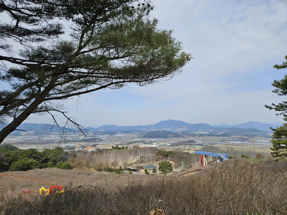 지리산 허브밸리 (철쭉 군락지)