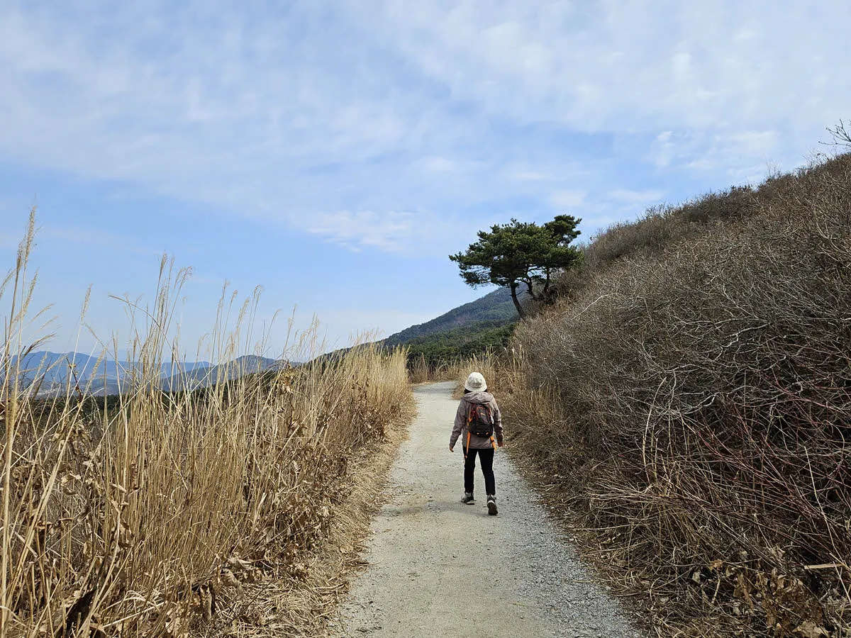 해발 650미터 바래봉 가는 지리산 중턱의 길