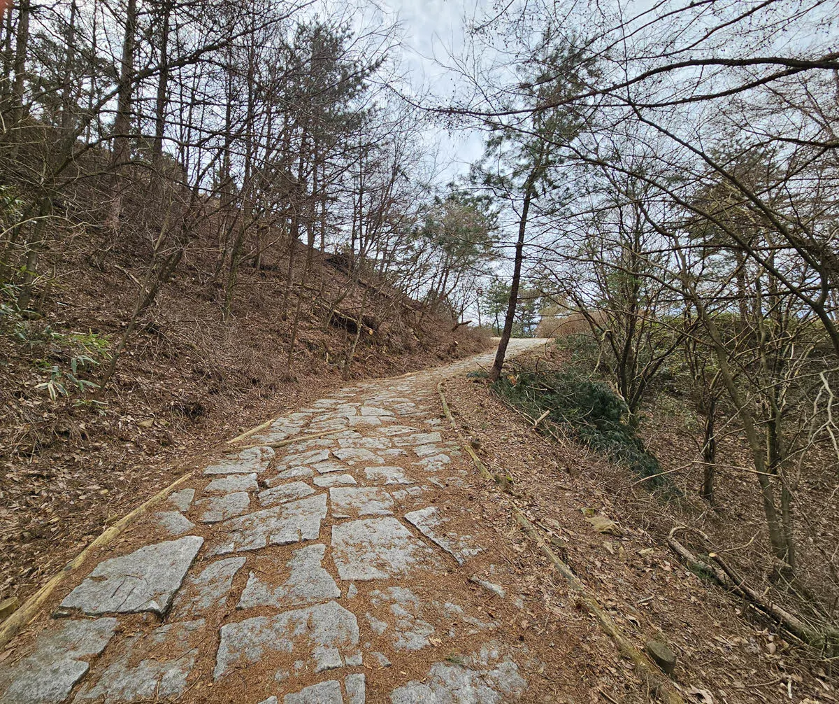 바래봉 두 번째 쉼터에서 세 번째 쉼터 가는 길