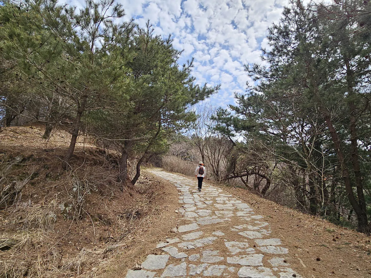 조금은 완만한 바래봉 트레킹 코스