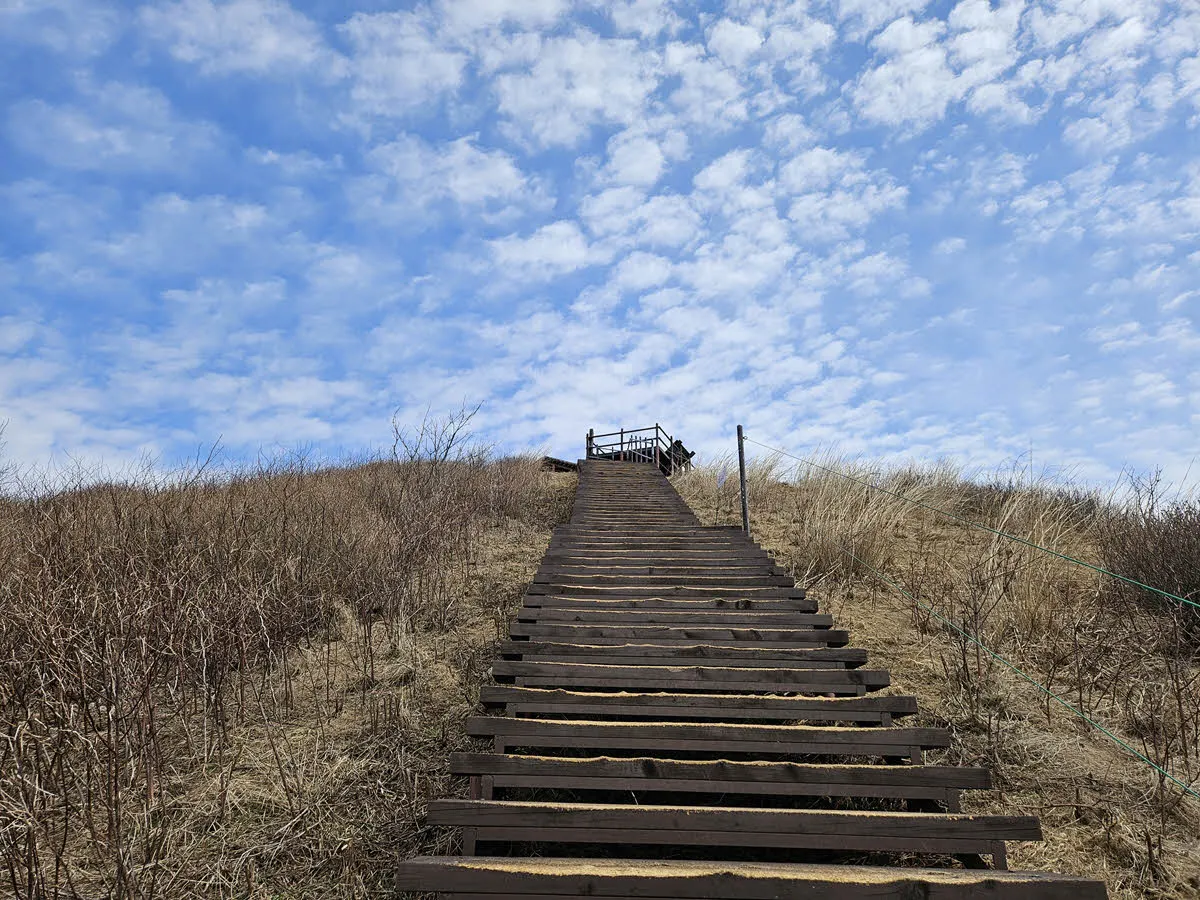 지리산 바래봉 20