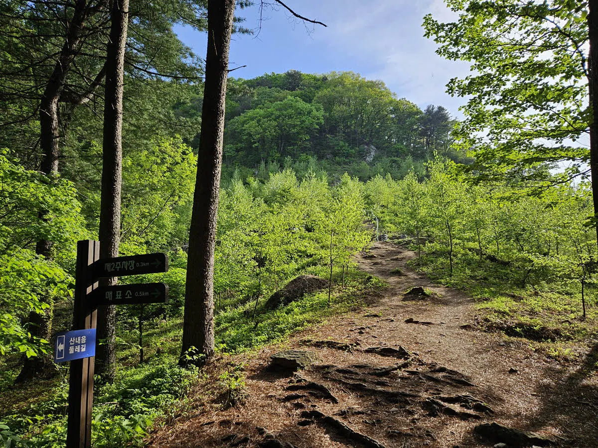 서리산 등산로
