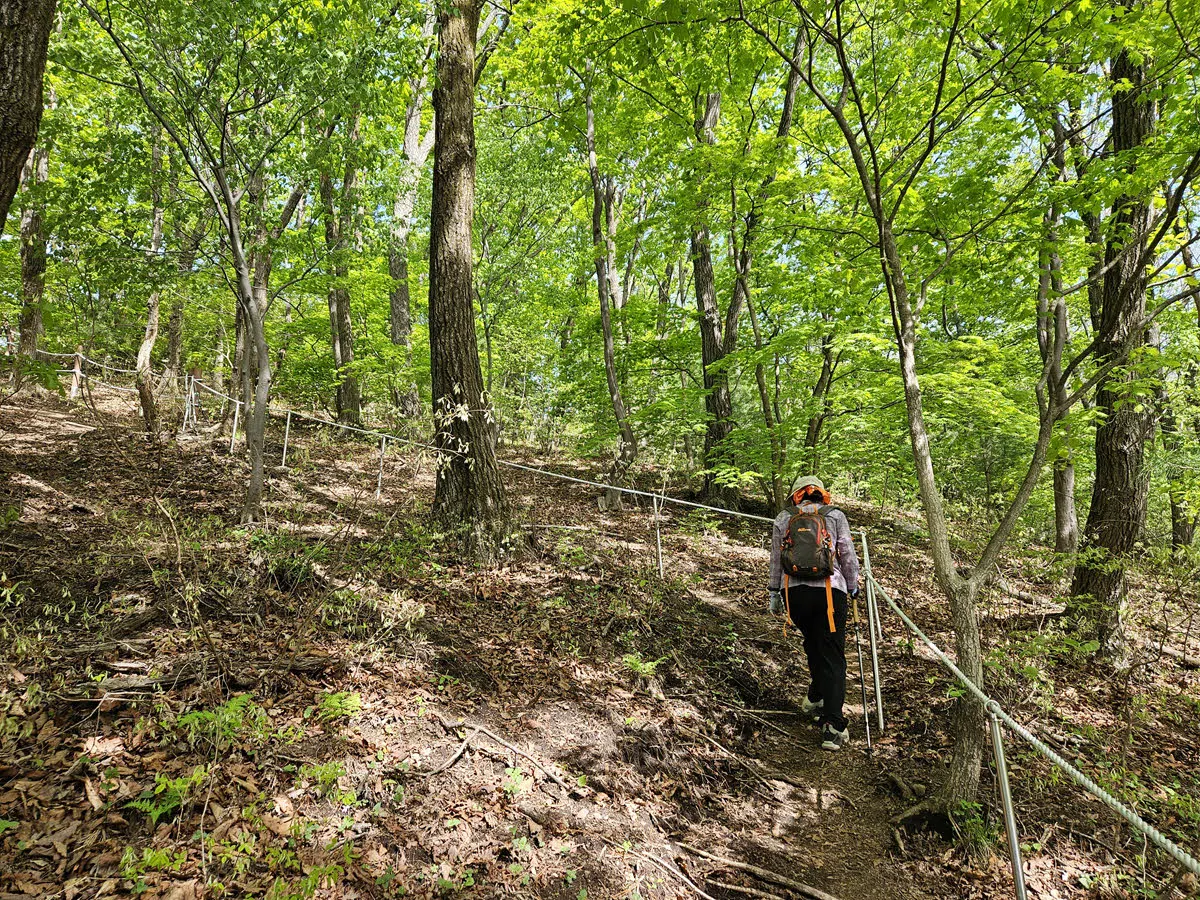 서리산 철쭉동산 가는 길