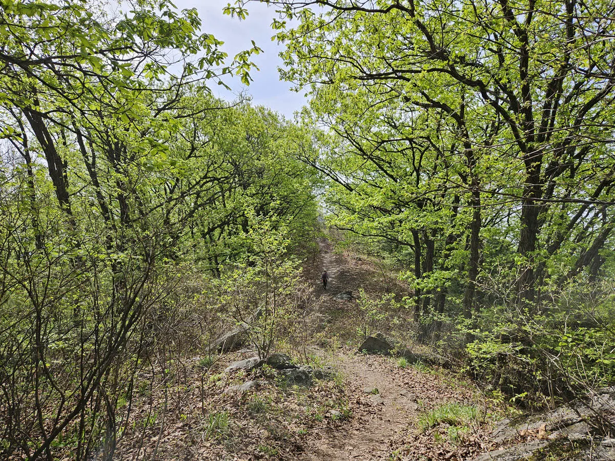 서리산에서 축령산 가는 길