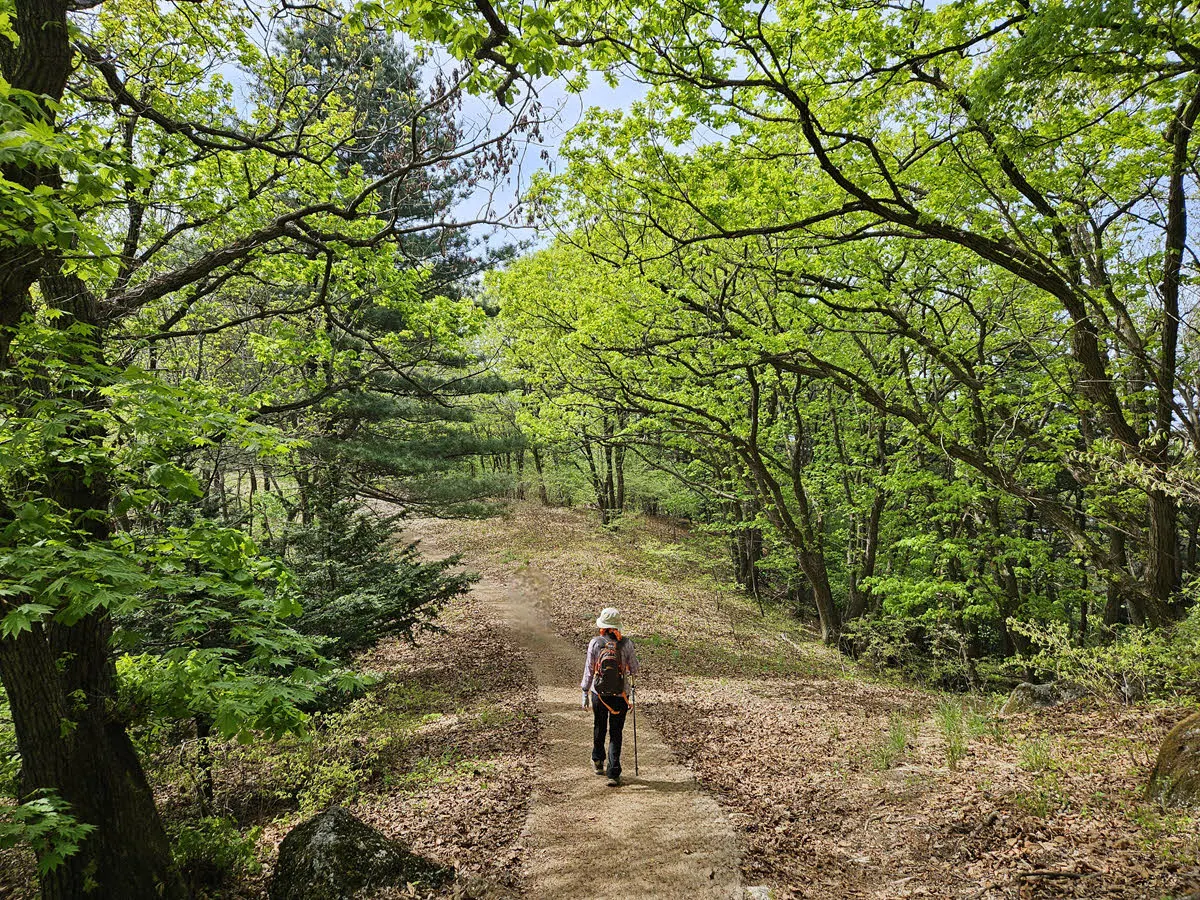 헬기장 사거리 가는 길