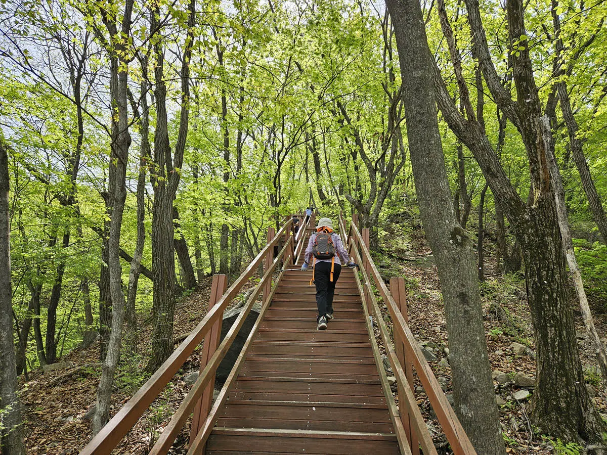 축령산 계단지옥