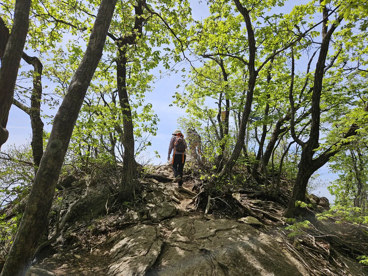 축령산 남이바위