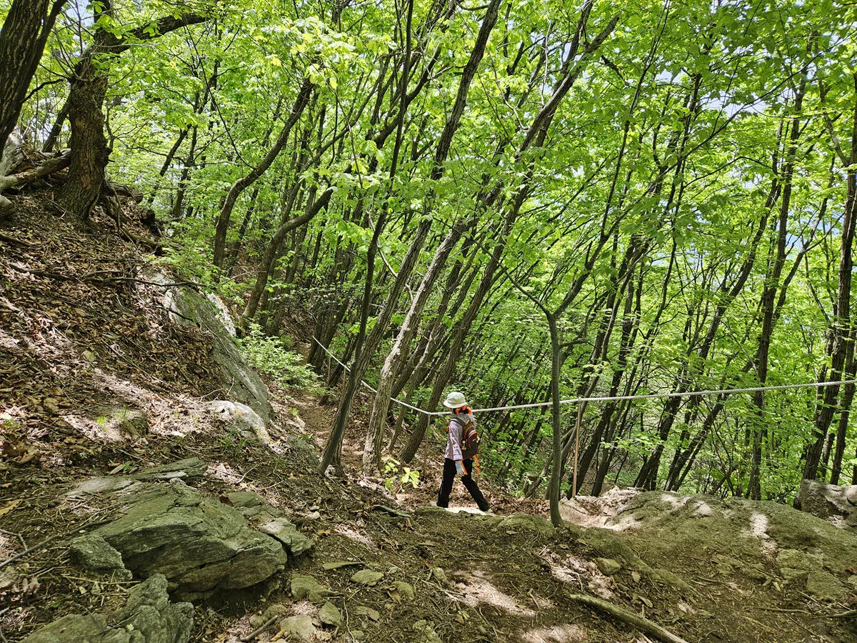 축령산 수리바위 가는길