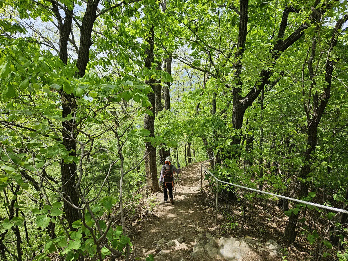 수리바위에서 하산하는 길