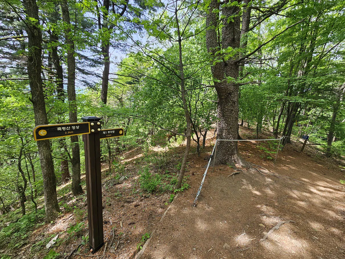 축령산 하산길 (제1주차장 방면)