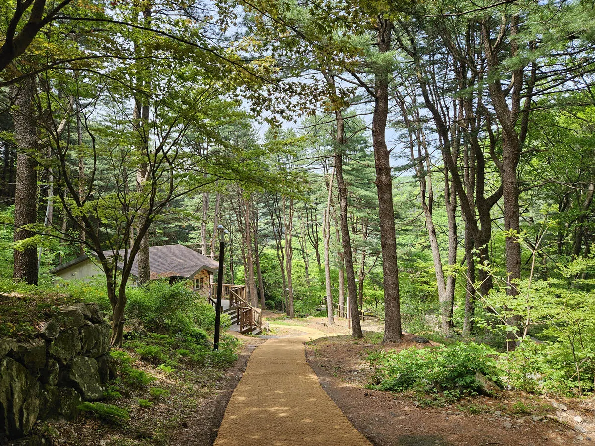 축령산 자연휴양림 숲속의 집