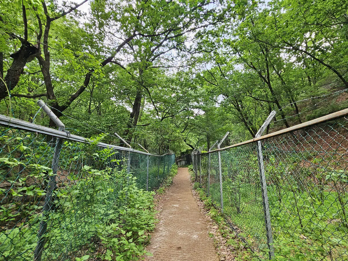 석림사를 지난다