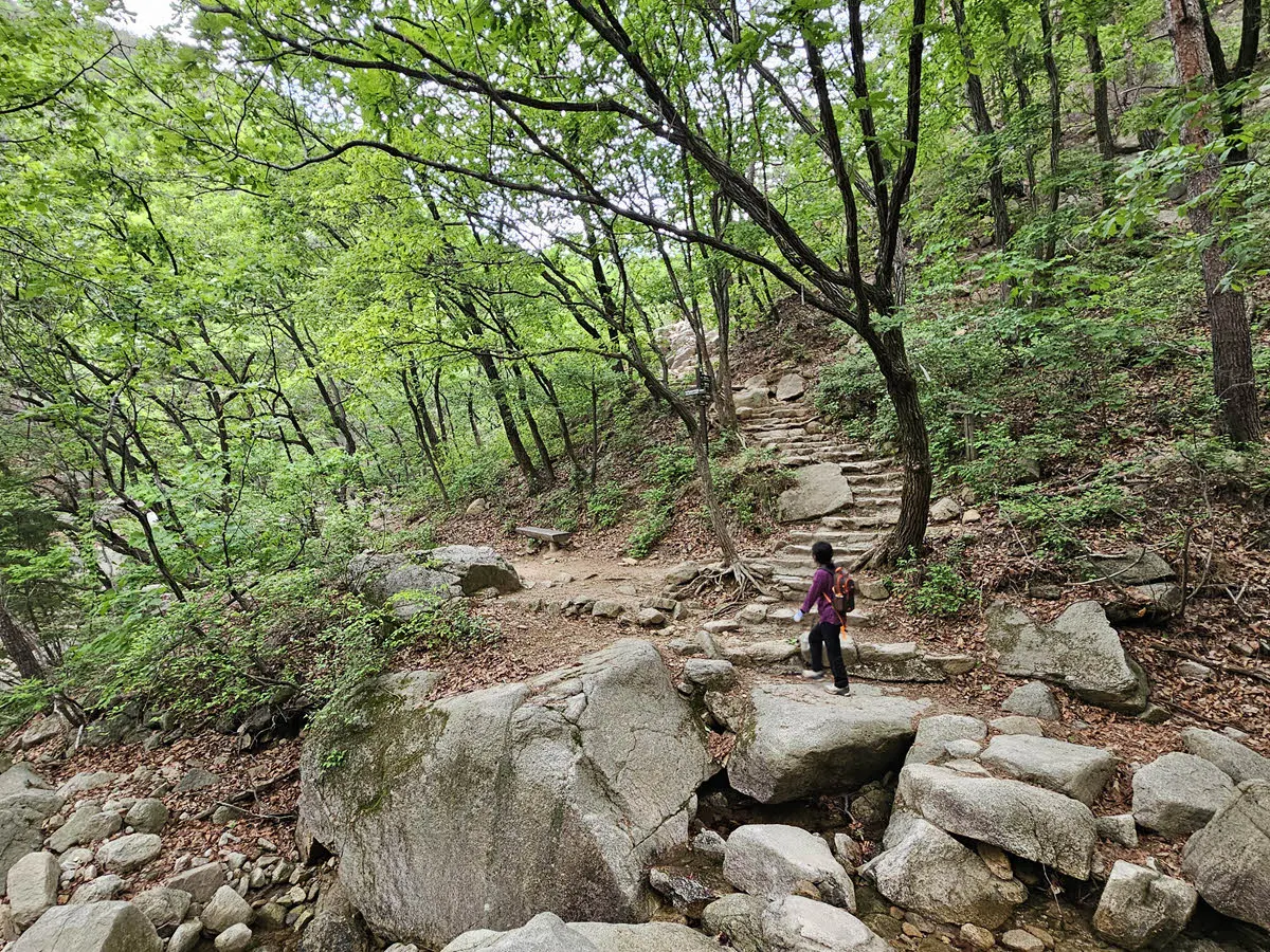 석림사 계곡 갈림길