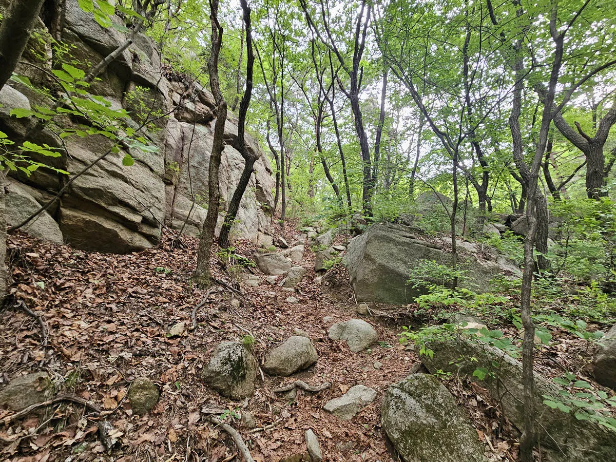 길인지 아닌지 헷갈리는 수락산 1-3 코스