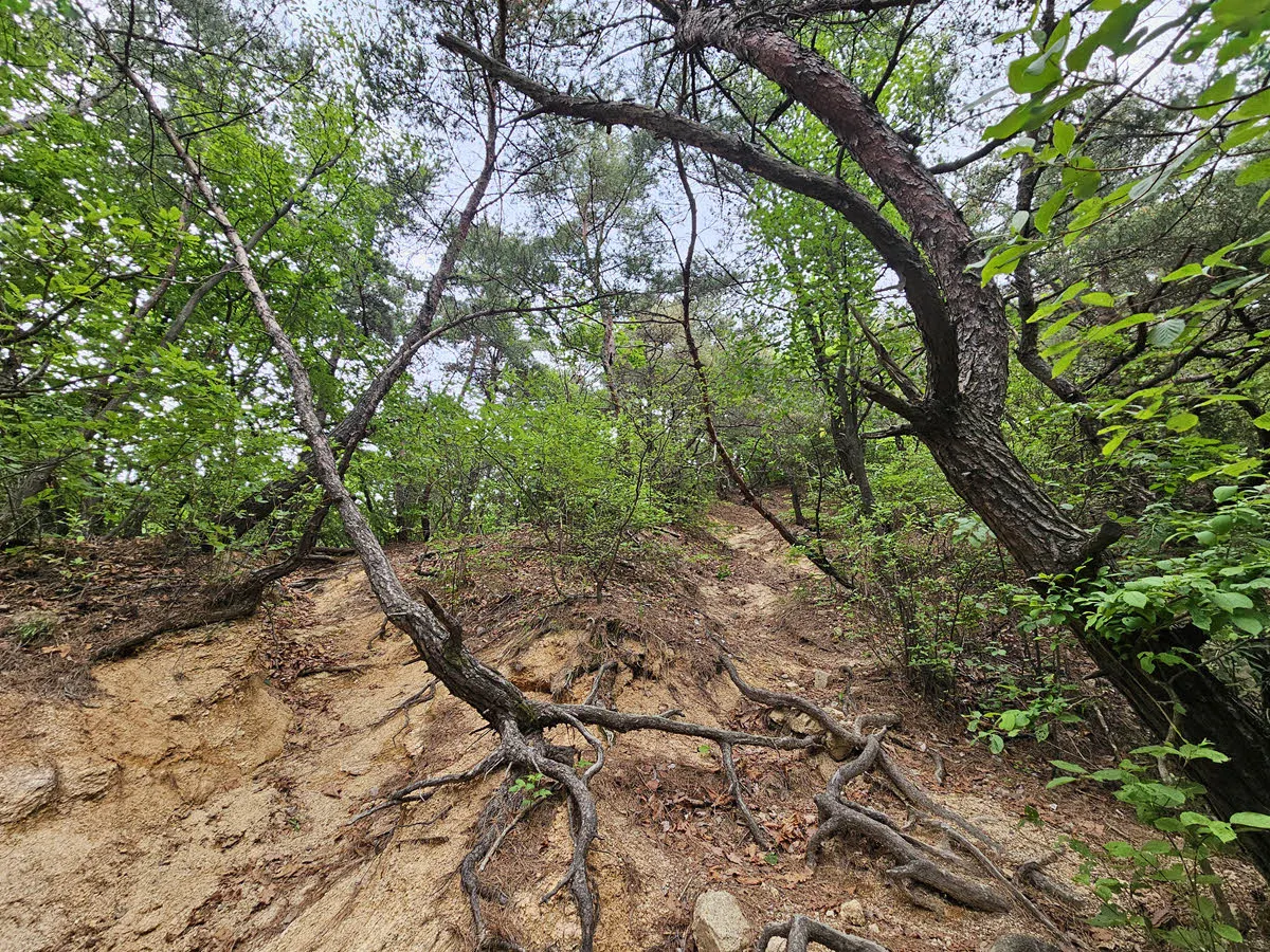 수락산 등산로 1-3 구간