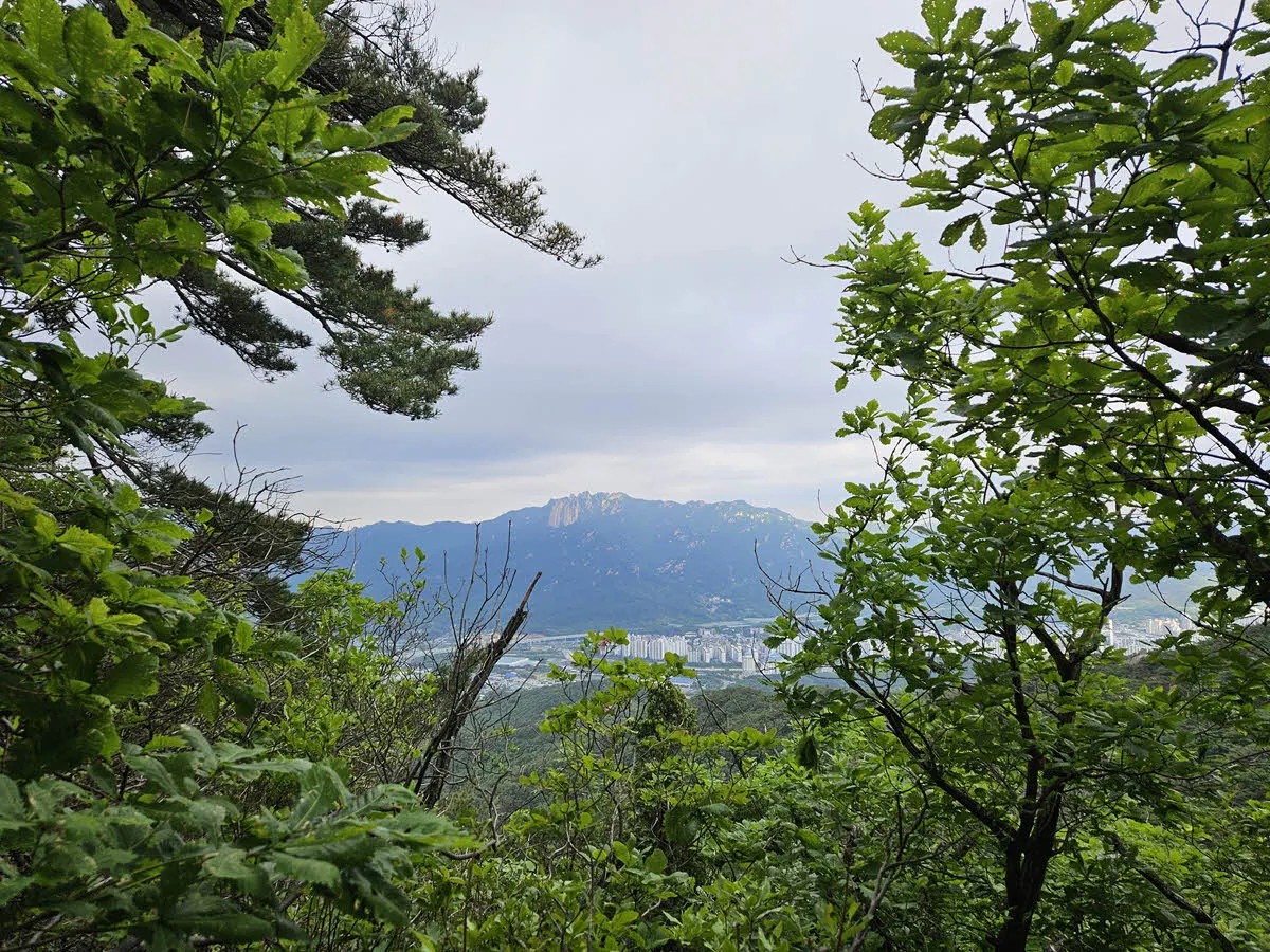 수락산 주능선에서 보이는 도봉산 신선대와 포대능선