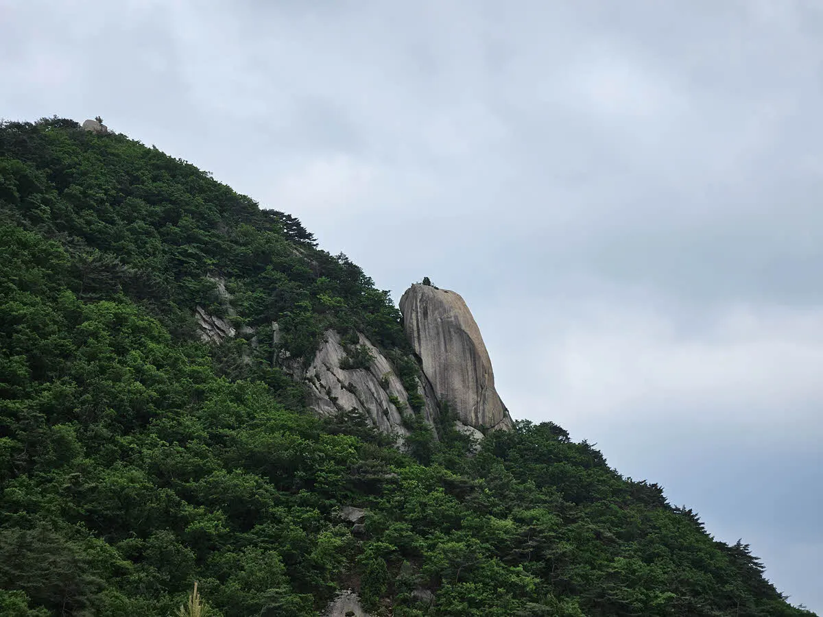 수락산 전망대에서 바라본 풍경