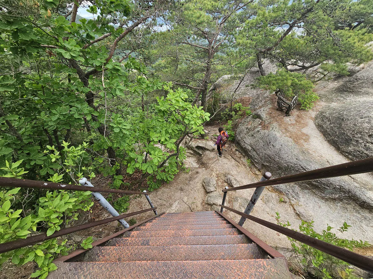 이것은 계단인가 사다리인가