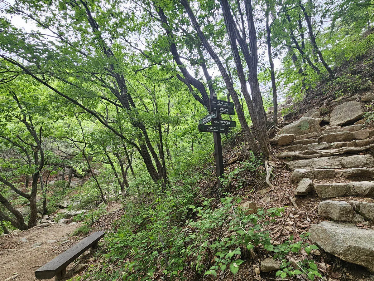 석림사 계곡 갈림길