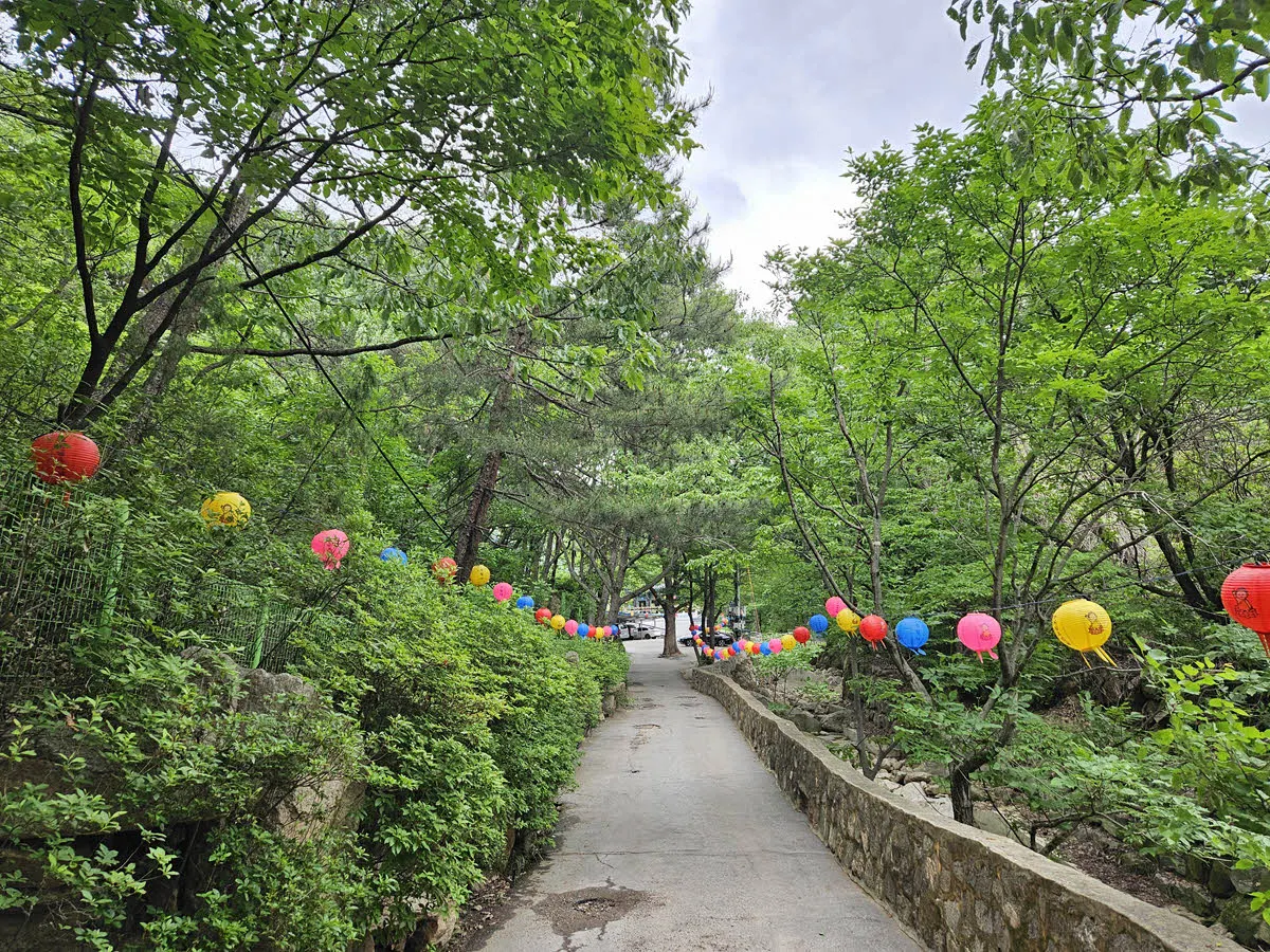 석림사 입구의 연등