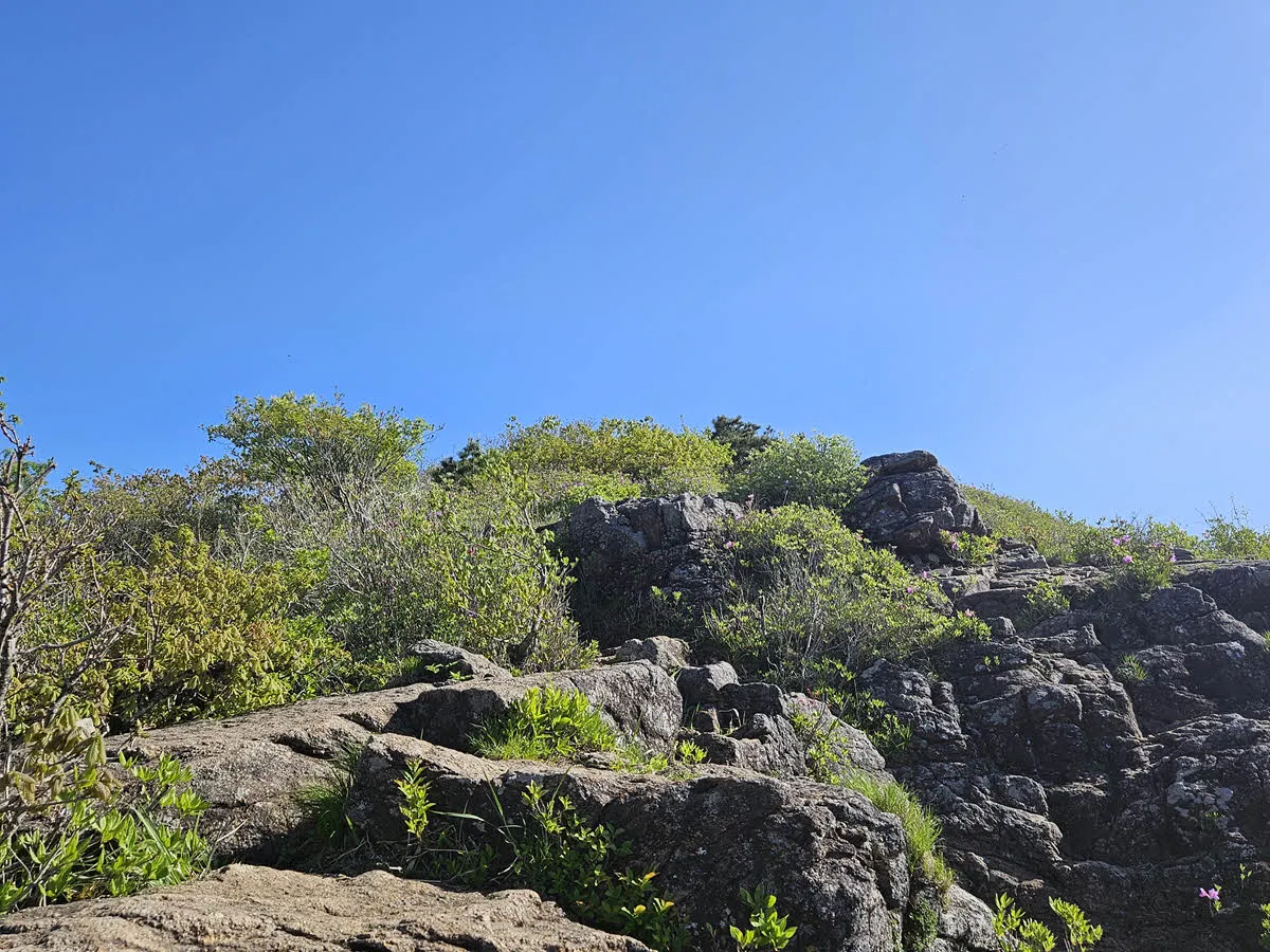 고리봉 오르는 길