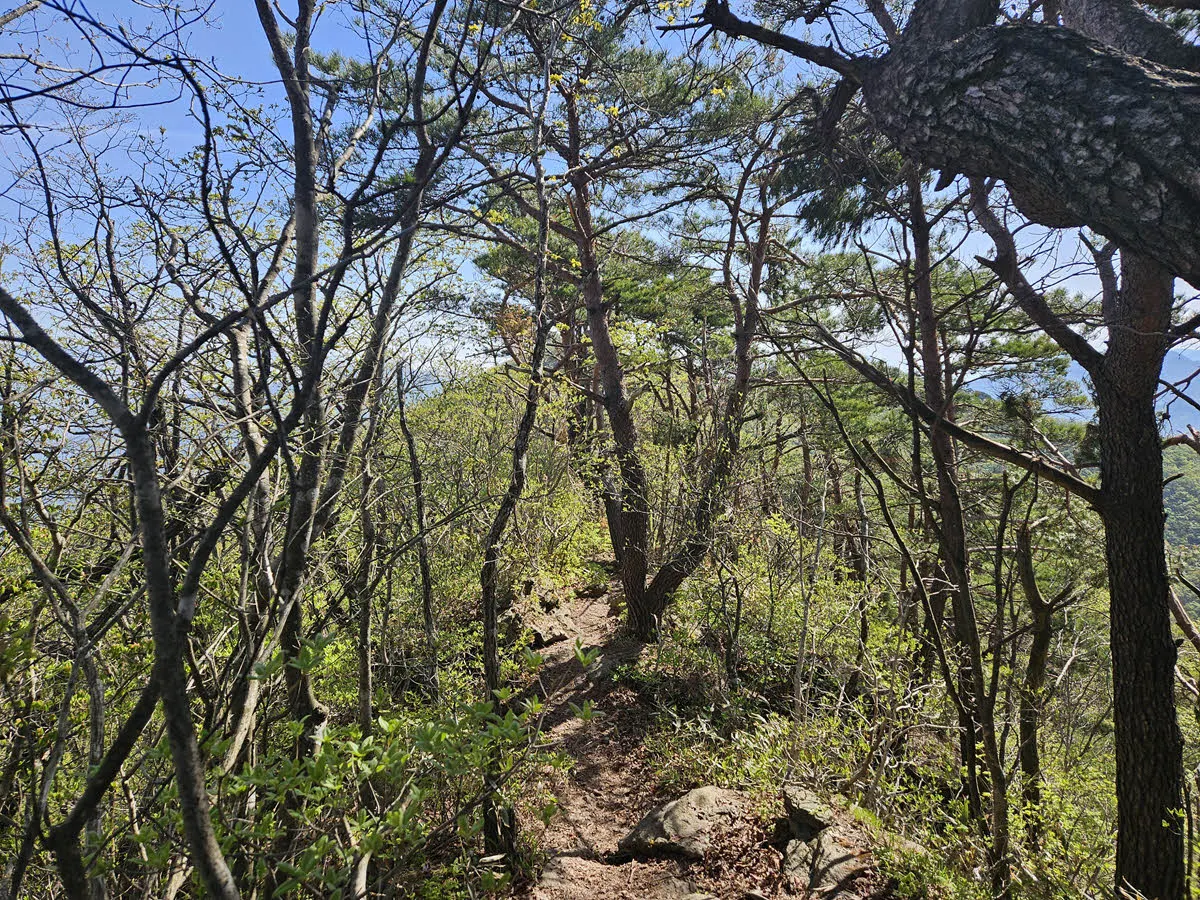 지리산 서북능선
