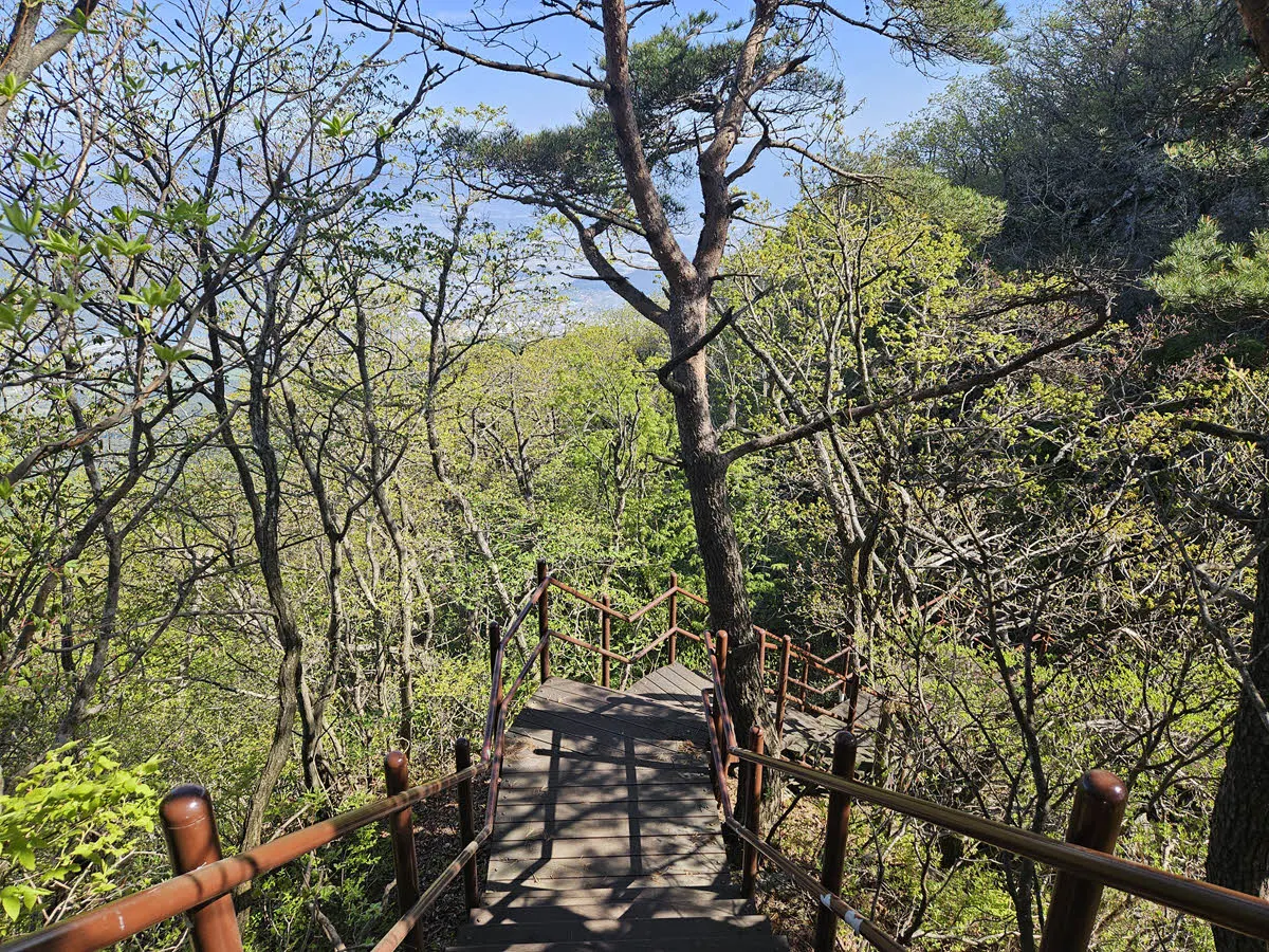 지리산 서북능선의 잘 정비된 데크 계단