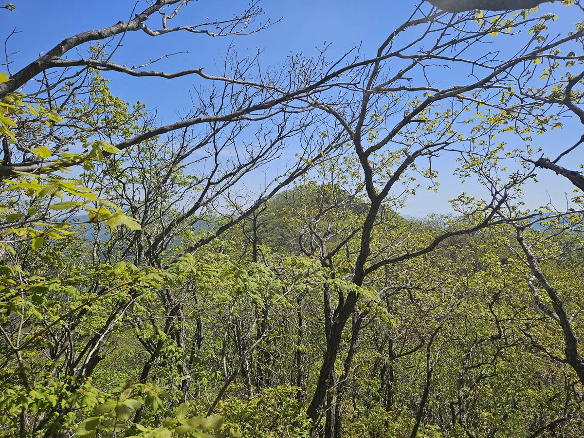 또 나타난 서북능선의 이름모를 봉우리