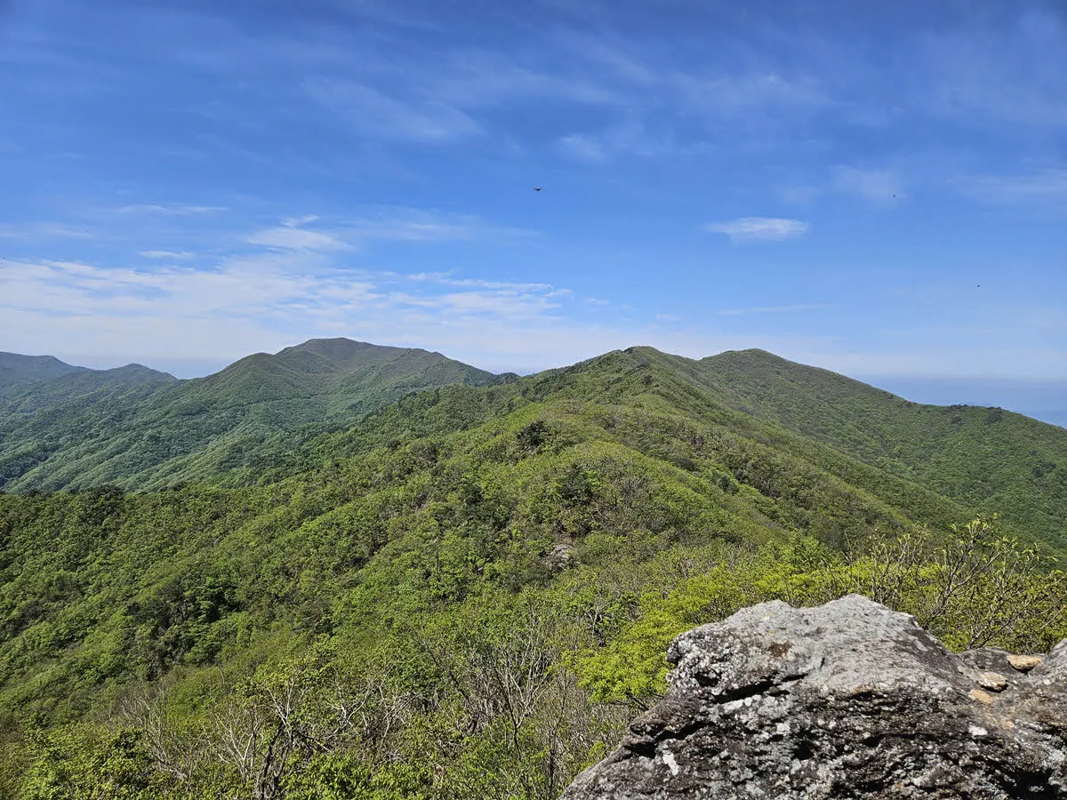 세걸산을 오르며 바라본 고리봉과 정령치 방면