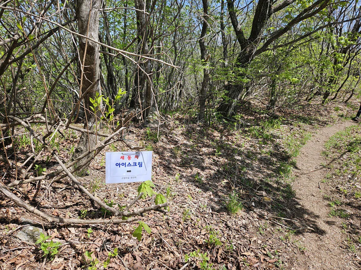 세동치 아이스께끼