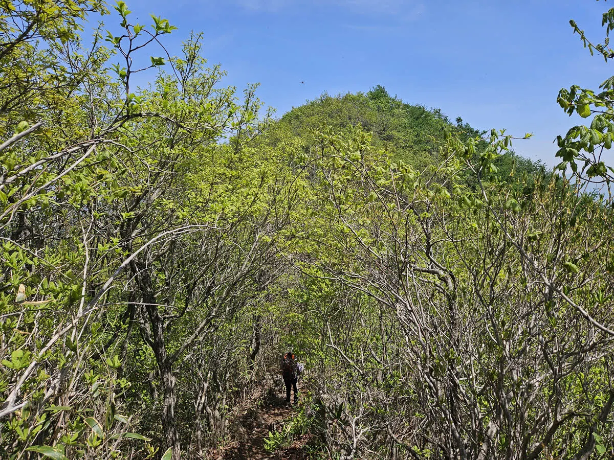 세동치를 지나 부운봉가는 길