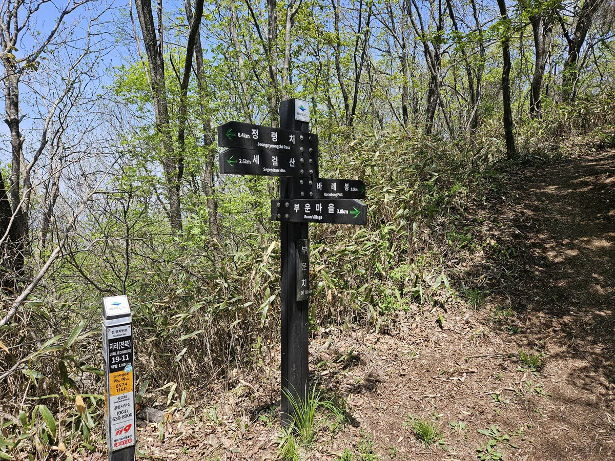 부운봉 가기 전 부운치