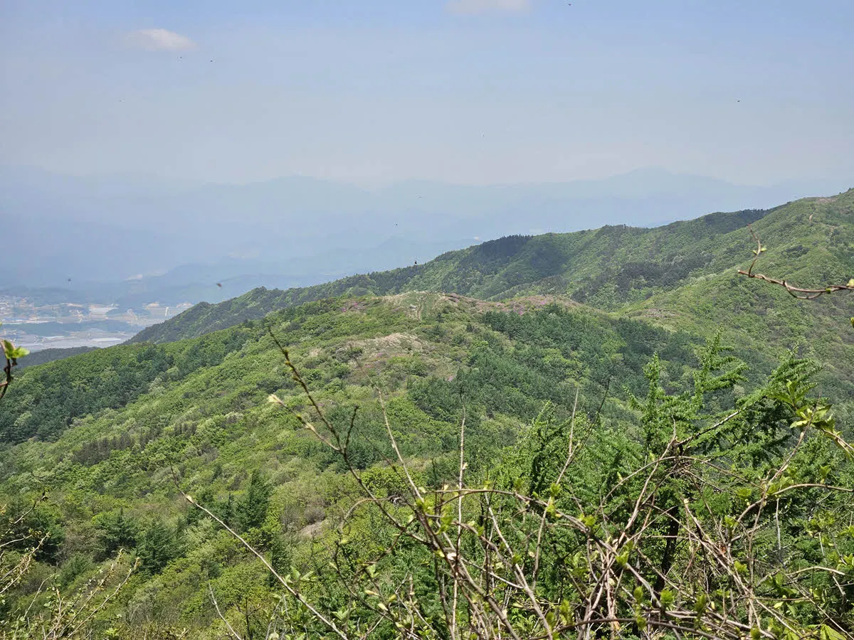 부운봉에서 보이는 철쭉군락지