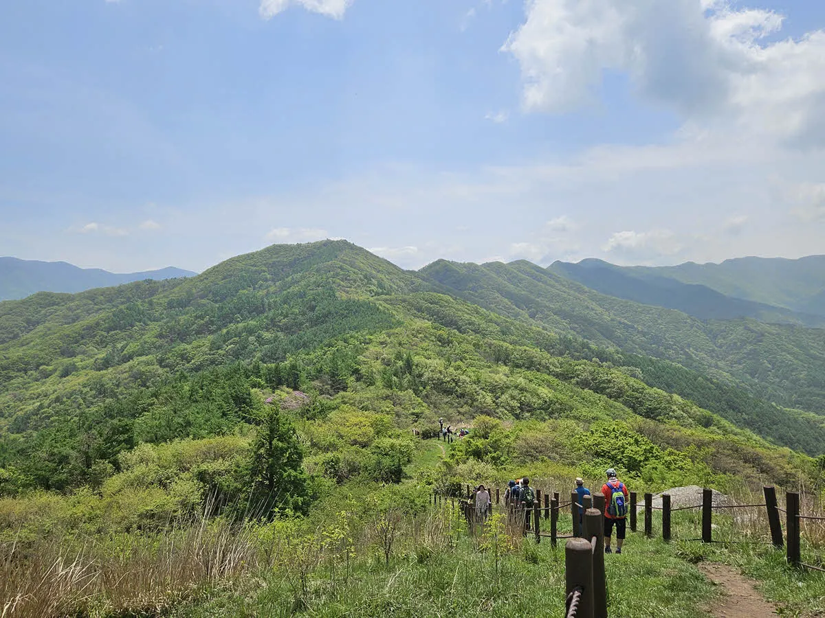 바래봉쪽 철쭉 군락지에서 바라본 부운봉과 정령치 방면