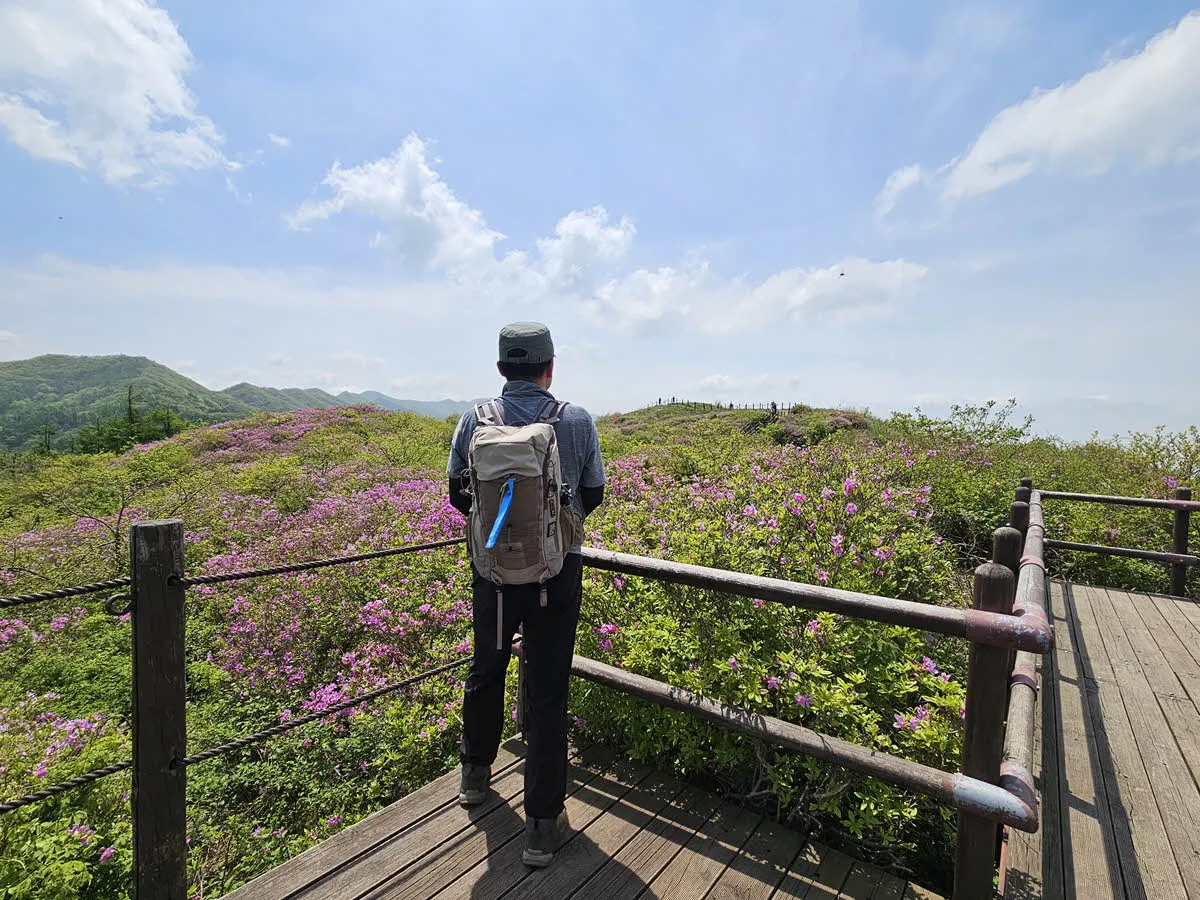 바래봉 철쭉 군락지
