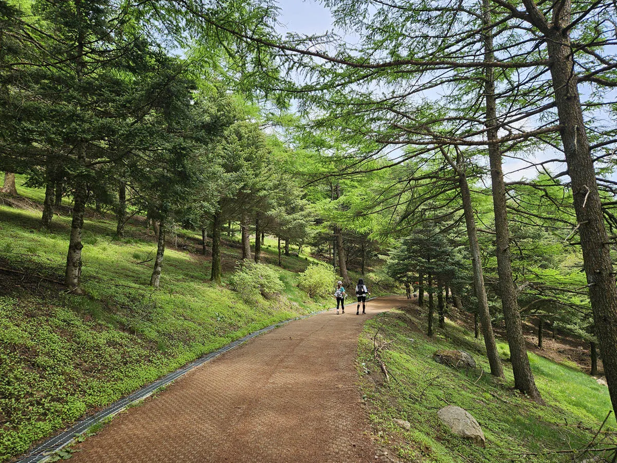 바래봉 입구 삼거리에서 바래봉 가는 길