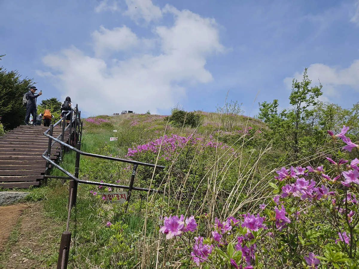 바래봉 오르는 길