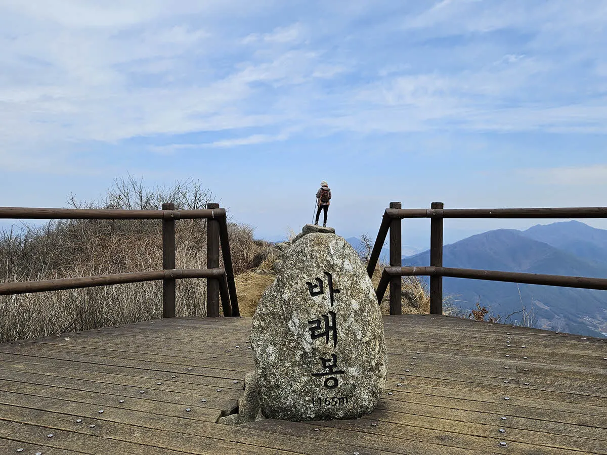 바래봉 미니어처 삿