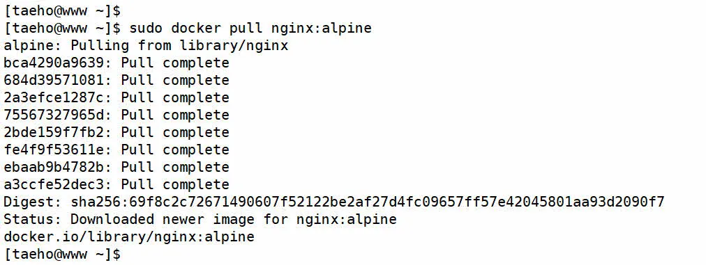 alpine 리눅스와 nginx를 포함하는 가상화 이미지 다운로드