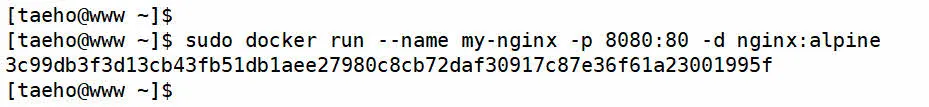 Nginx 도커 컨테이너 최초 실행하는 명령